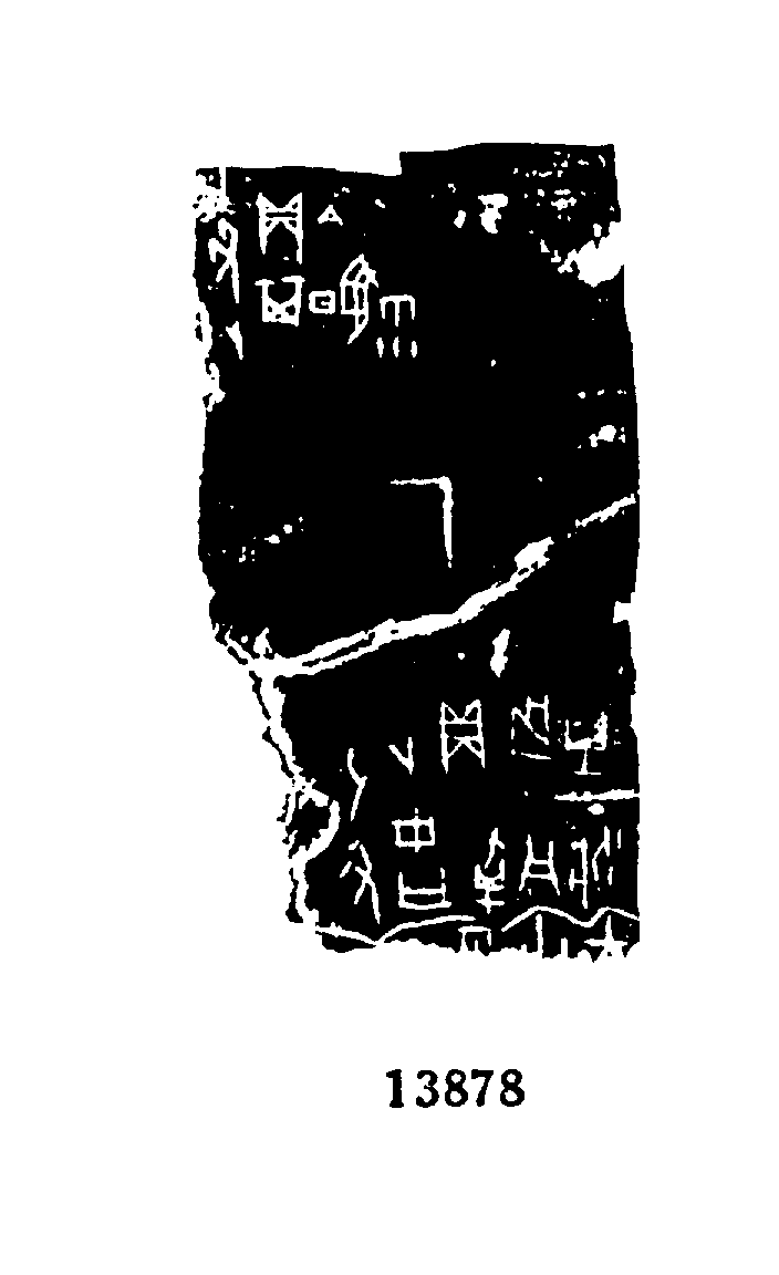 点击图片看大图