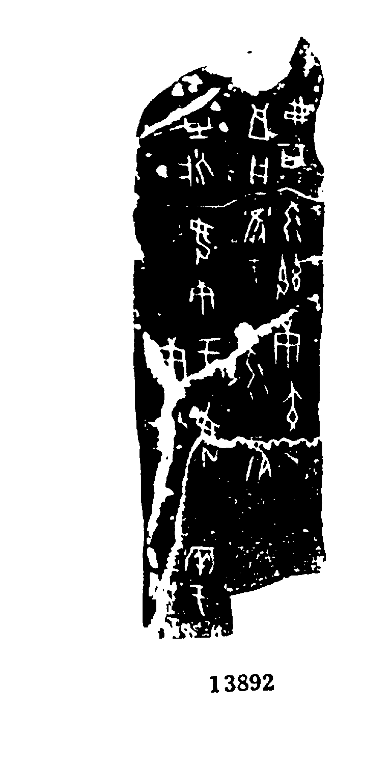 点击图片看大图