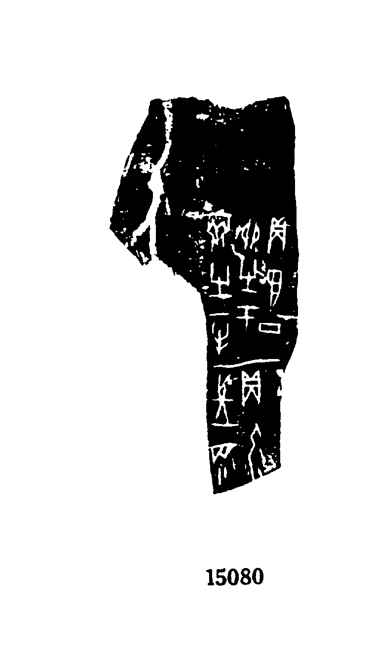 点击图片看大图