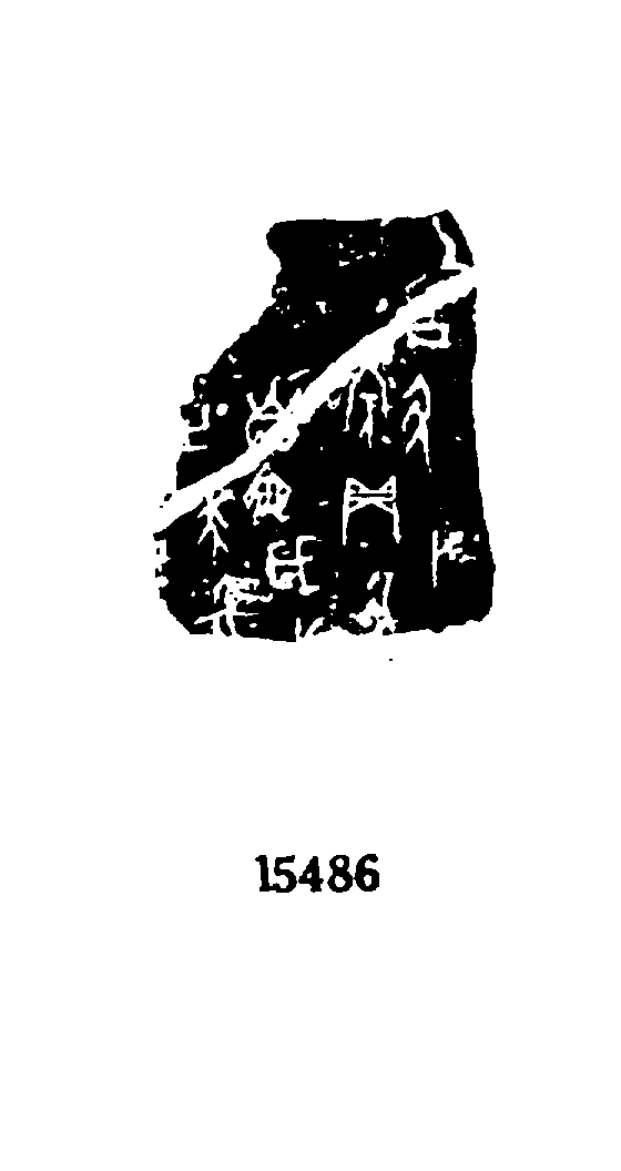 点击图片看大图