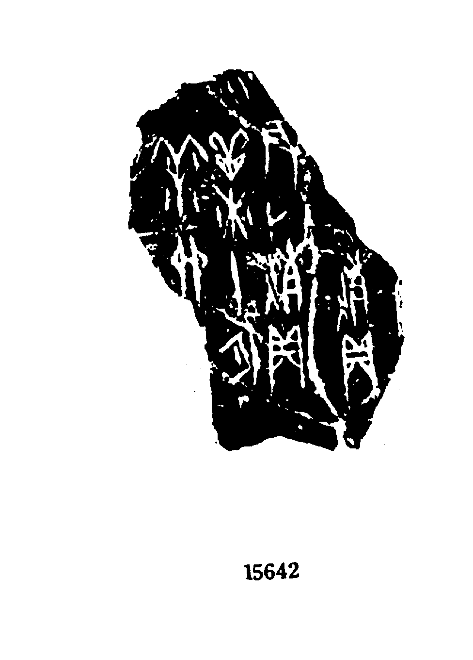 点击图片看大图