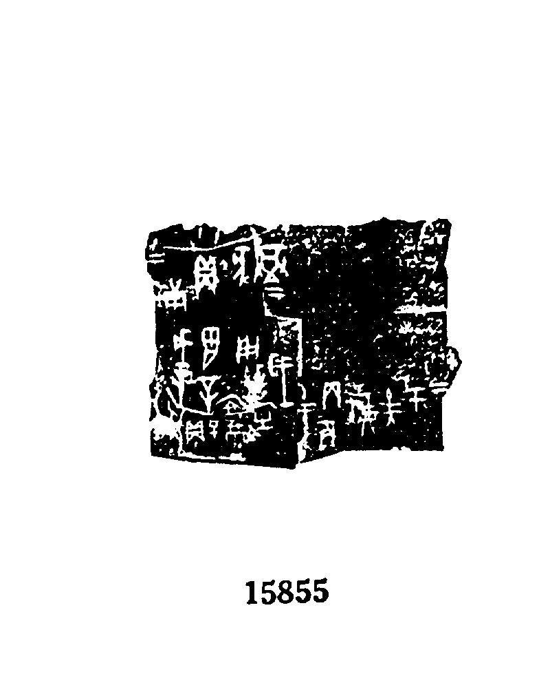 点击图片看大图