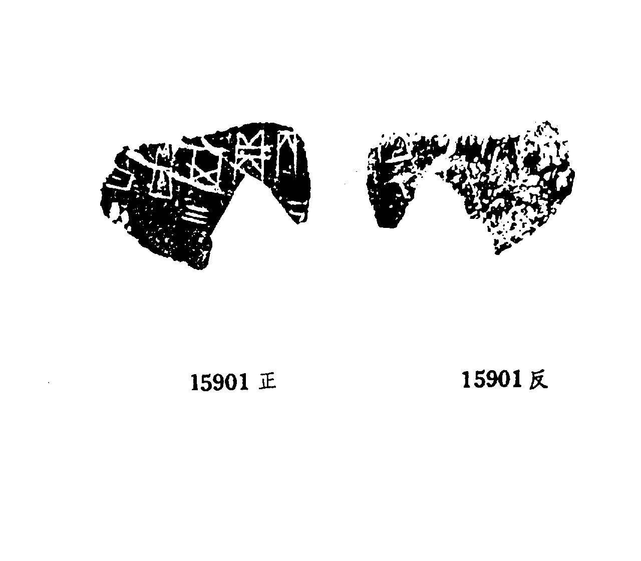 点击图片看大图