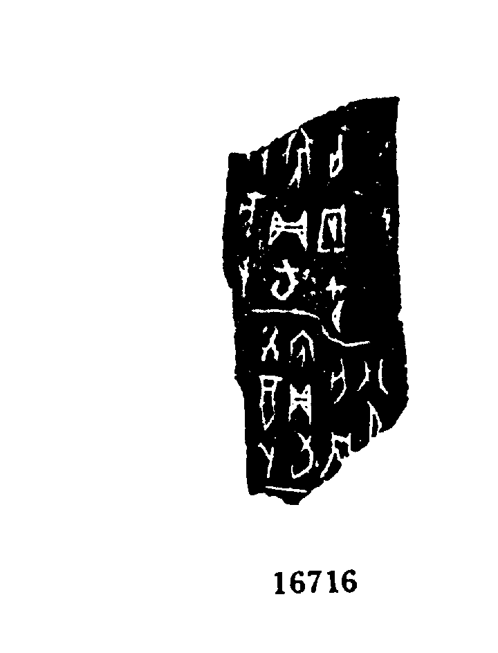 点击图片看大图