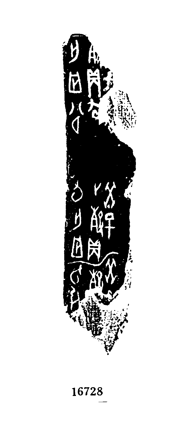 点击图片看大图