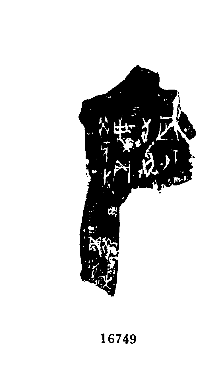点击图片看大图
