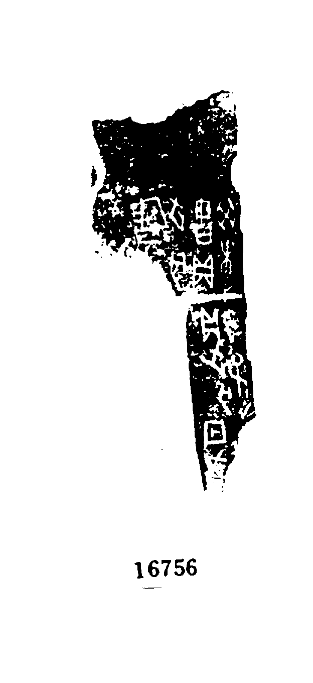 点击图片看大图