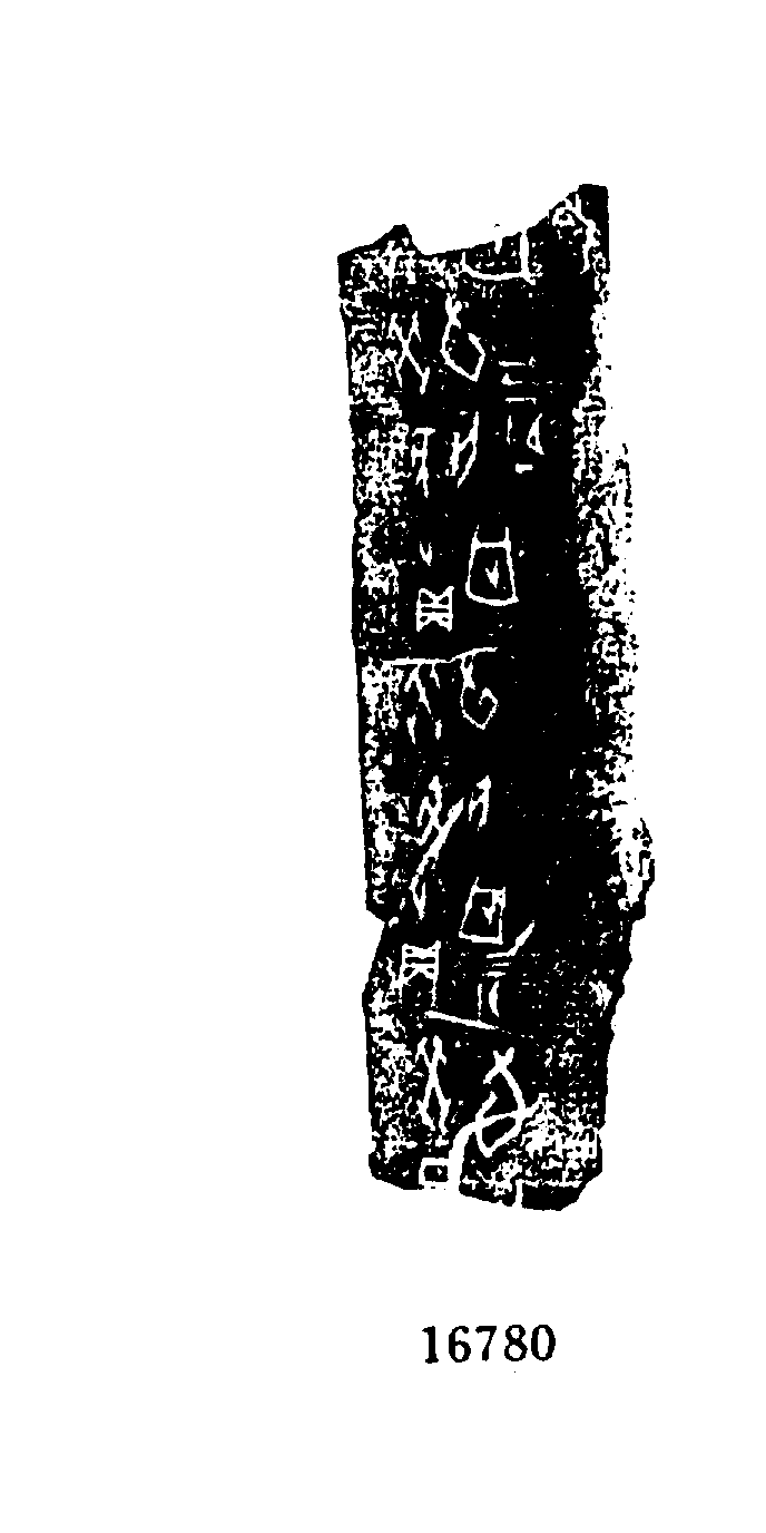 点击图片看大图