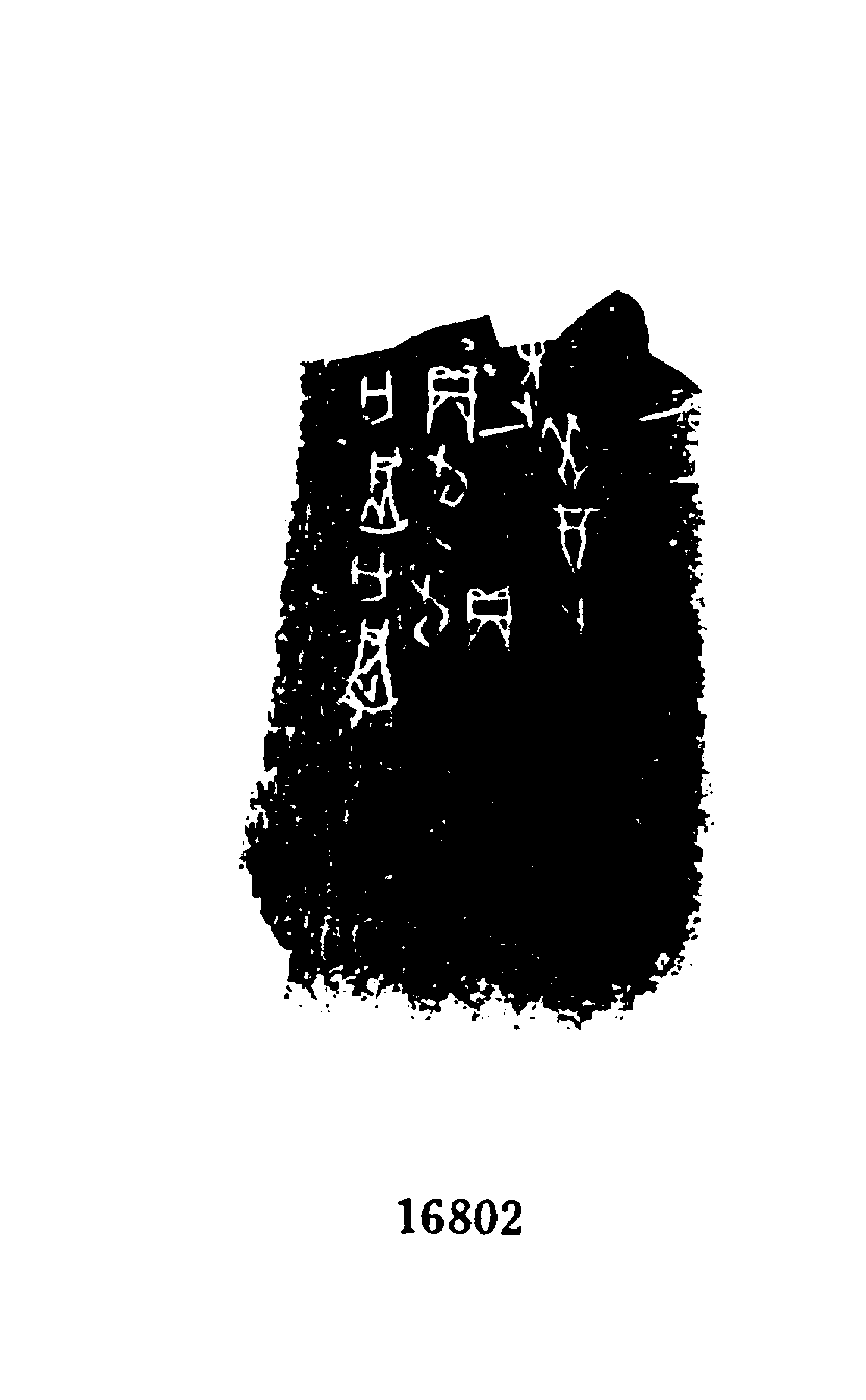 点击图片看大图