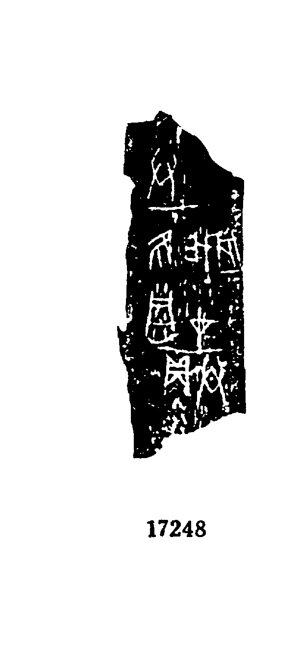 点击图片看大图