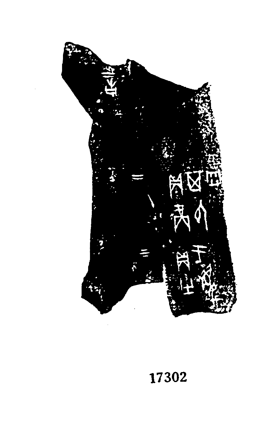 点击图片看大图