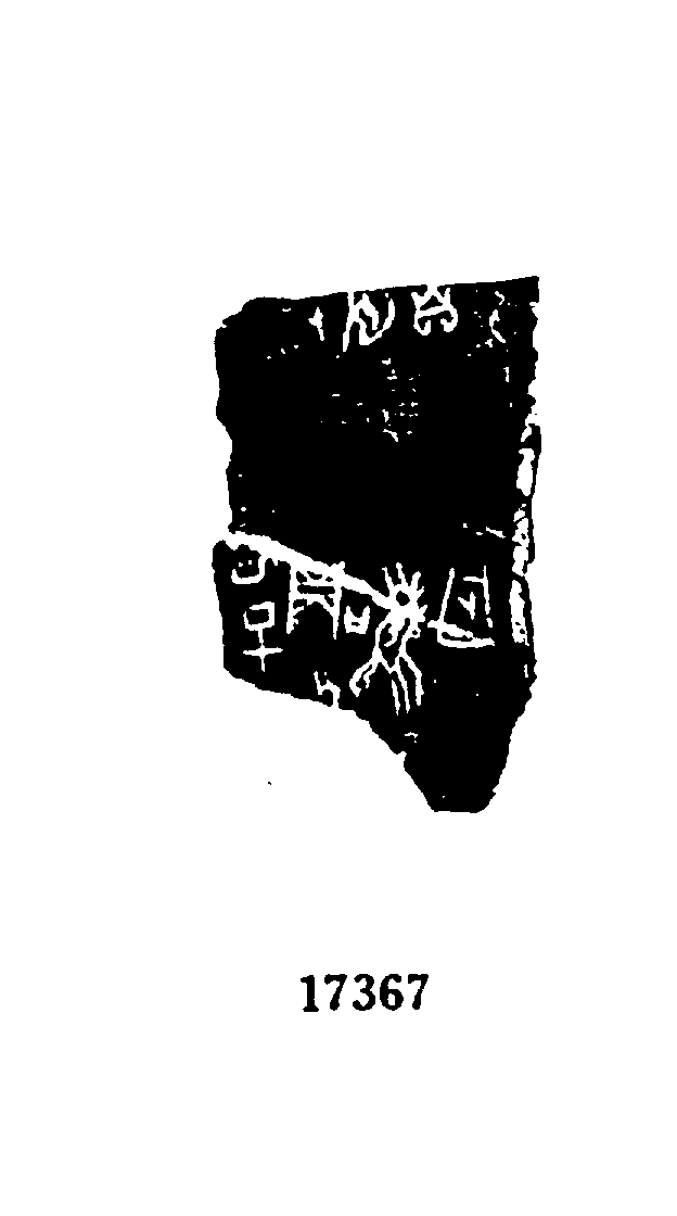 点击图片看大图