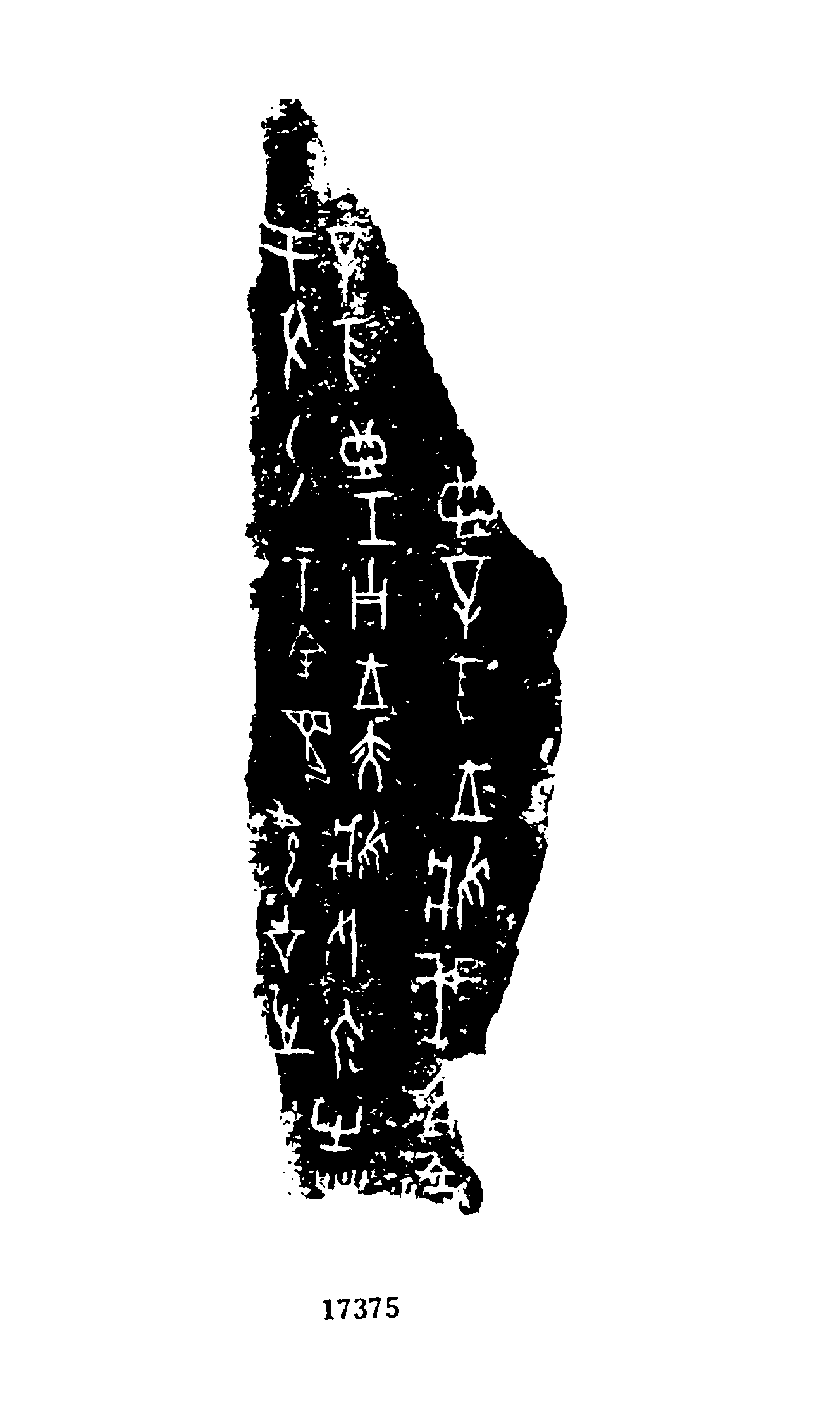 点击图片看大图