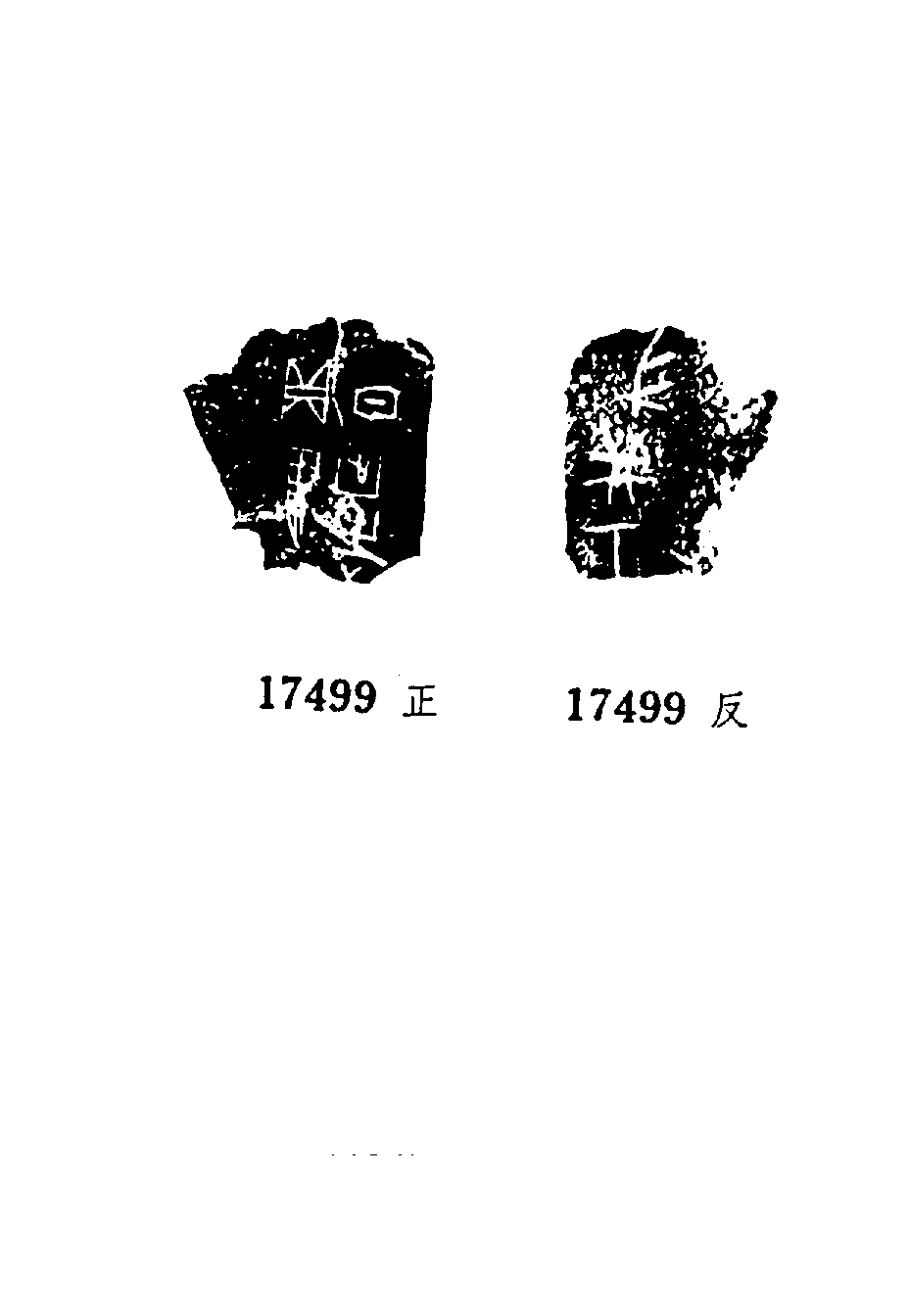 点击图片看大图