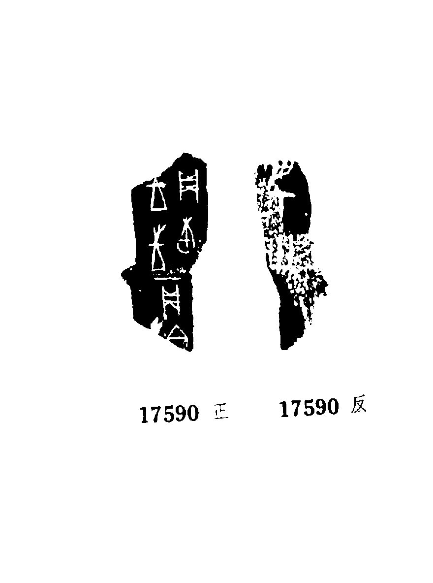 点击图片看大图