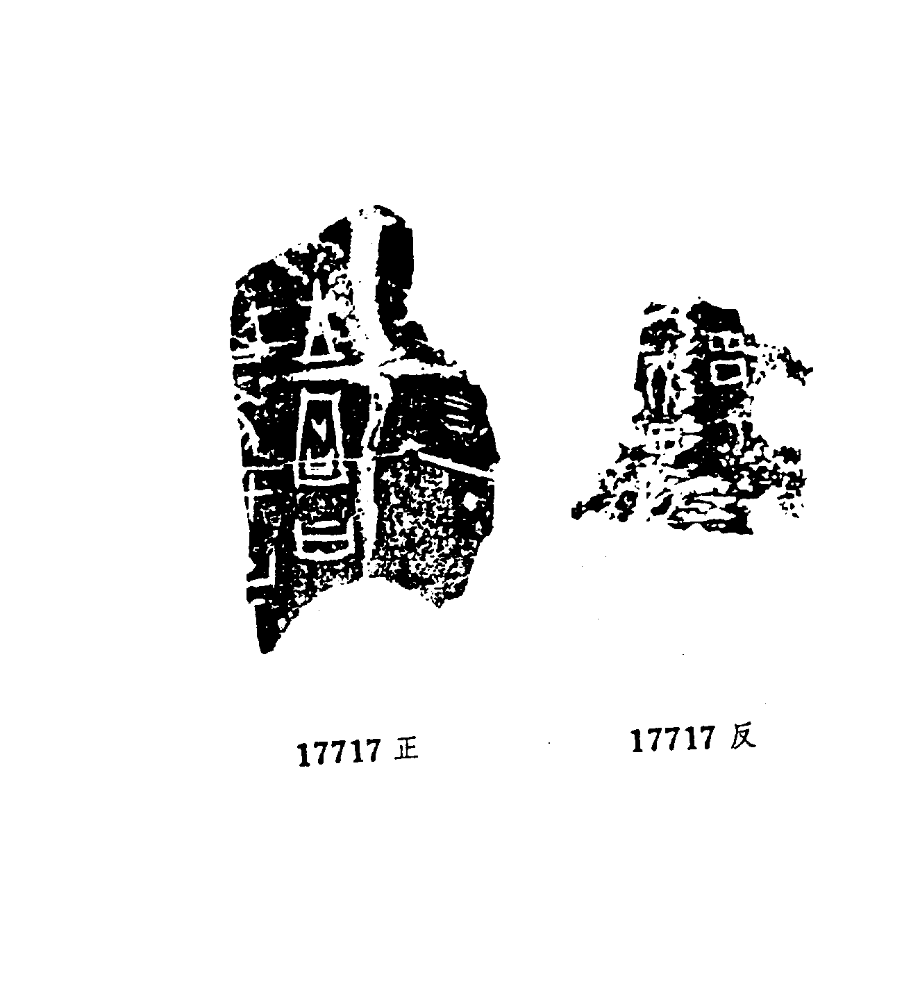 点击图片看大图