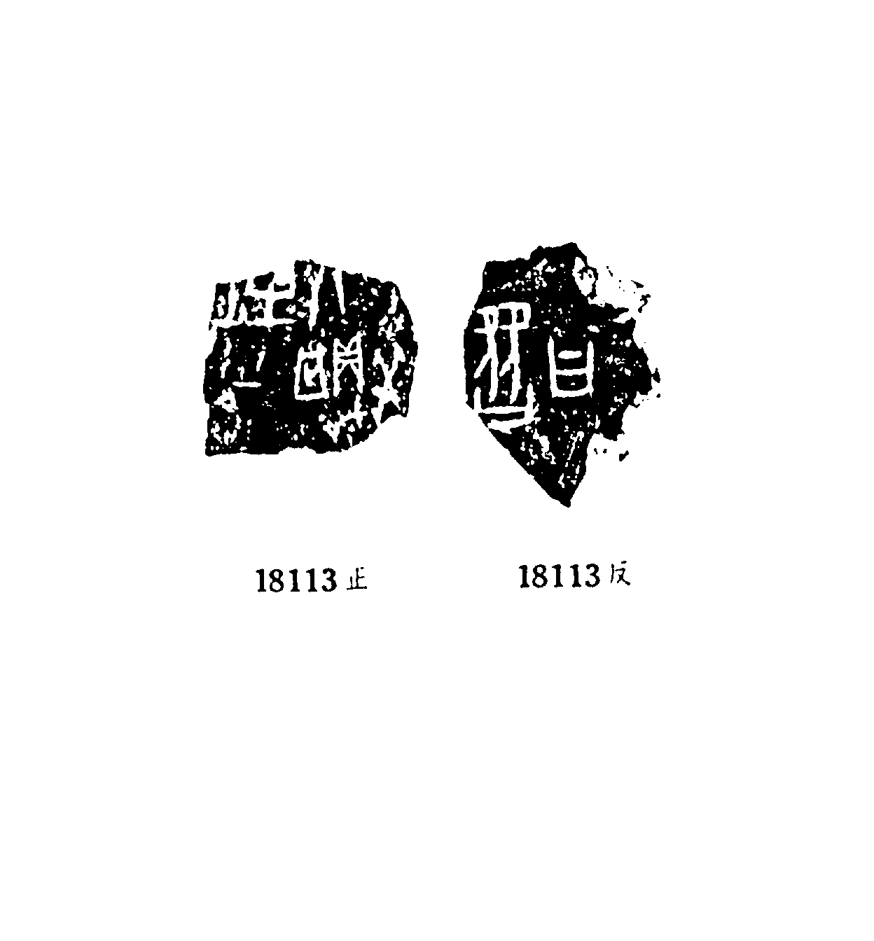 点击图片看大图