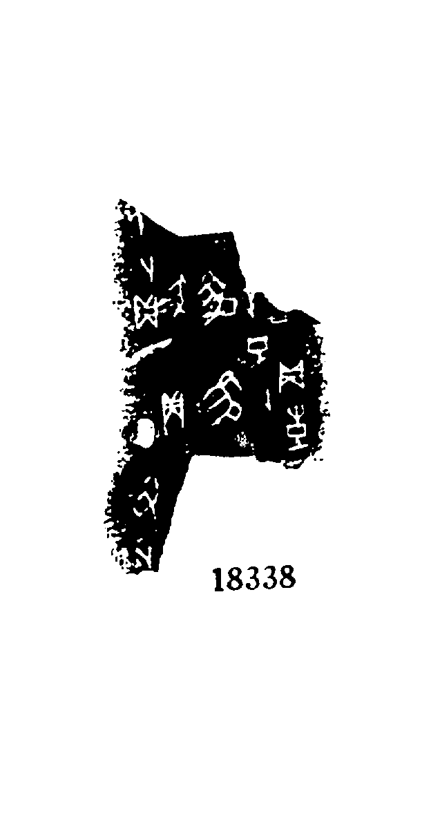 点击图片看大图