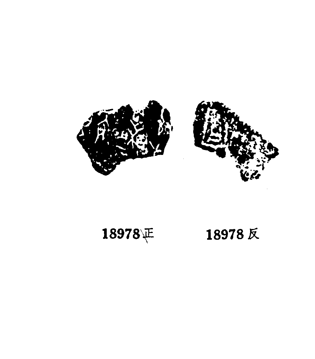 点击图片看大图