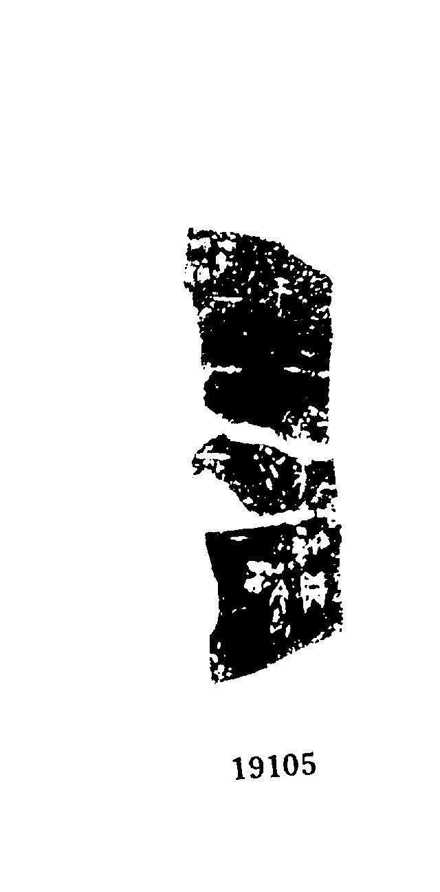 点击图片看大图