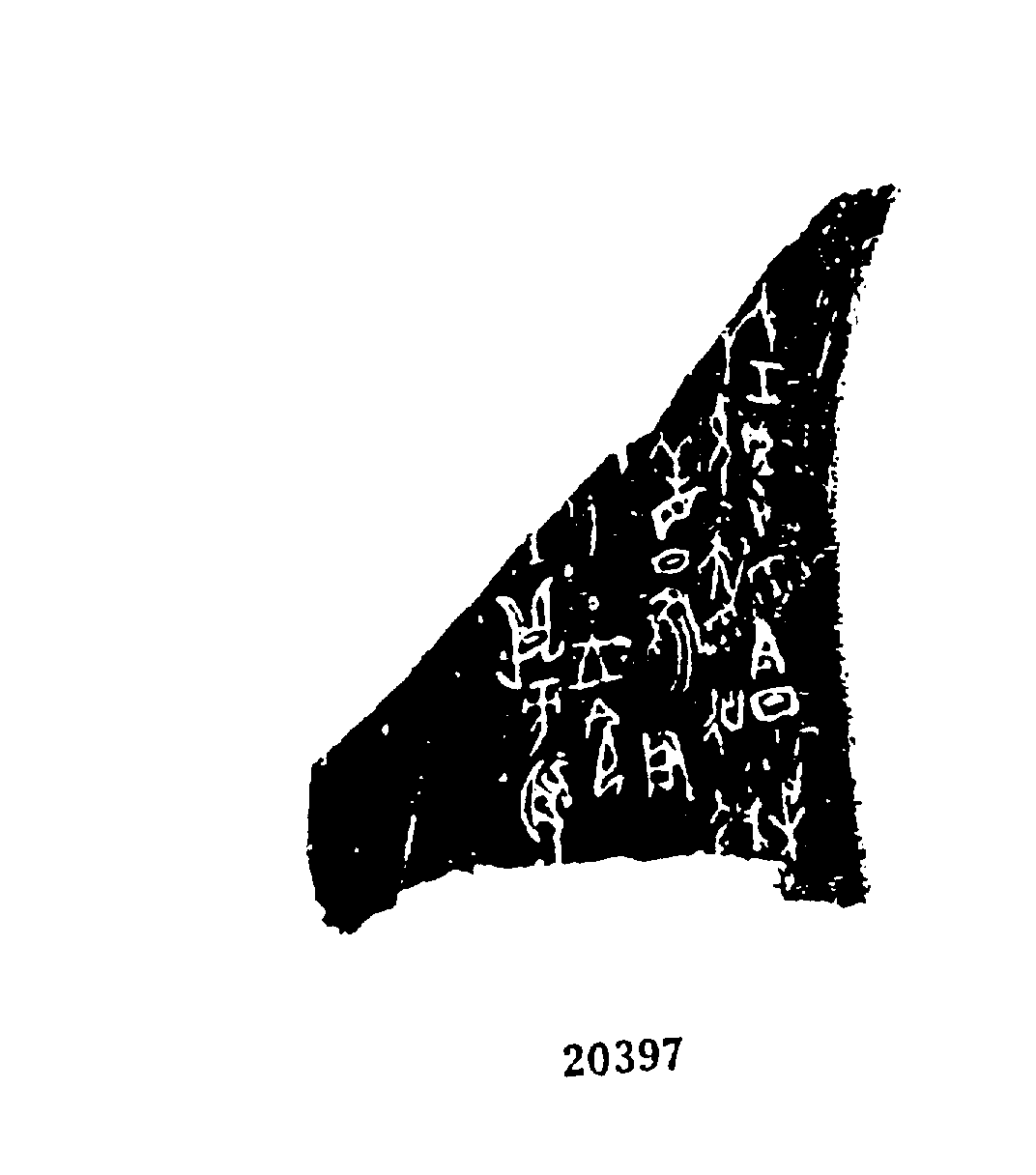 点击图片看大图