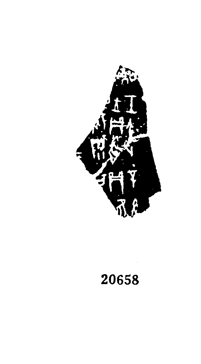 点击图片看大图