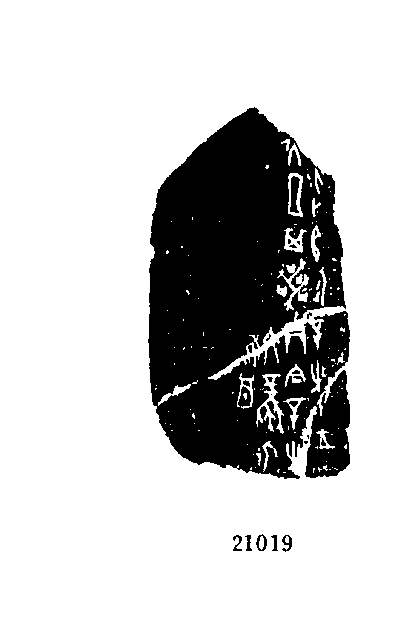 点击图片看大图