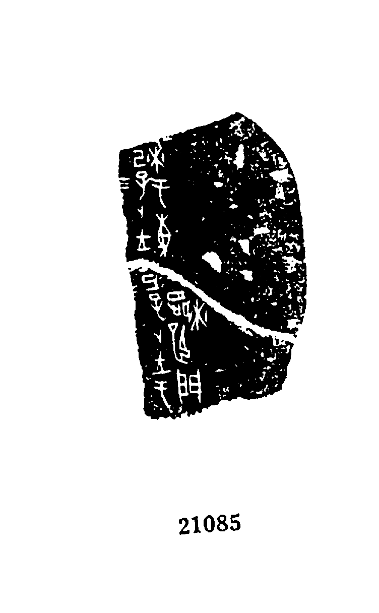 点击图片看大图