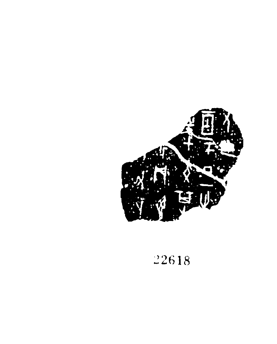 点击图片看大图