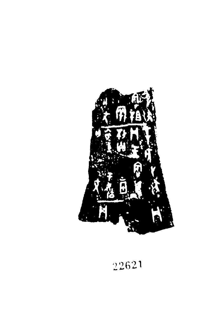 点击图片看大图