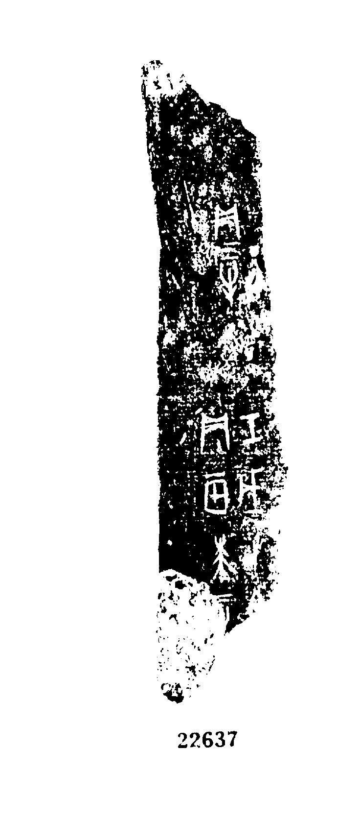 点击图片看大图