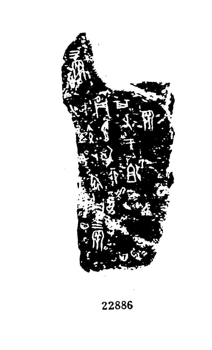 点击图片看大图