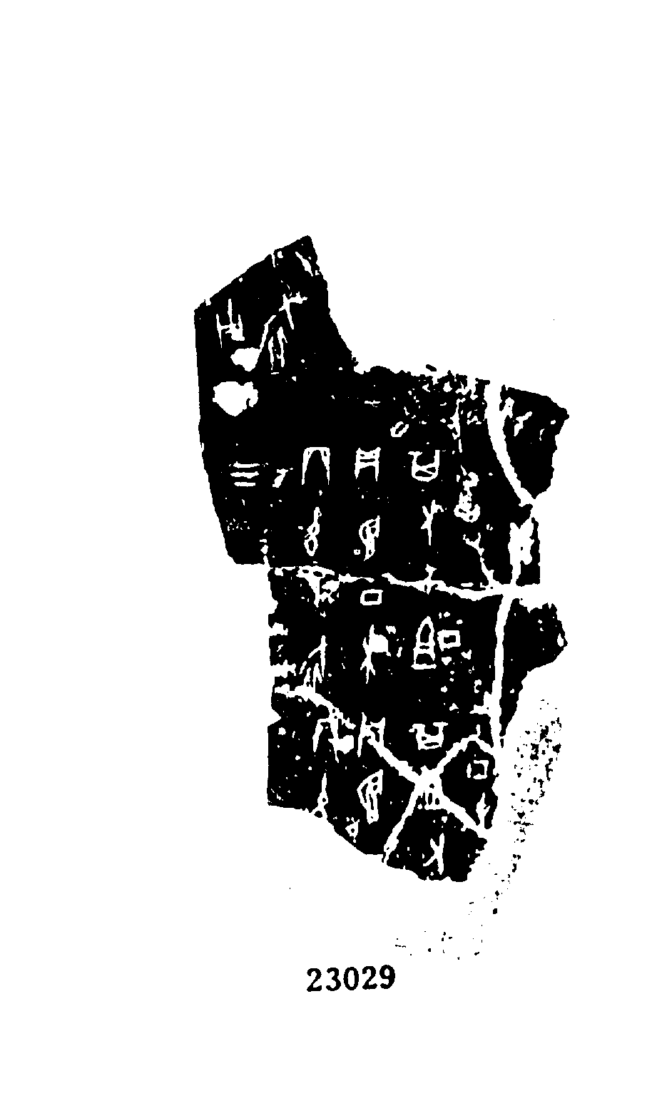 点击图片看大图
