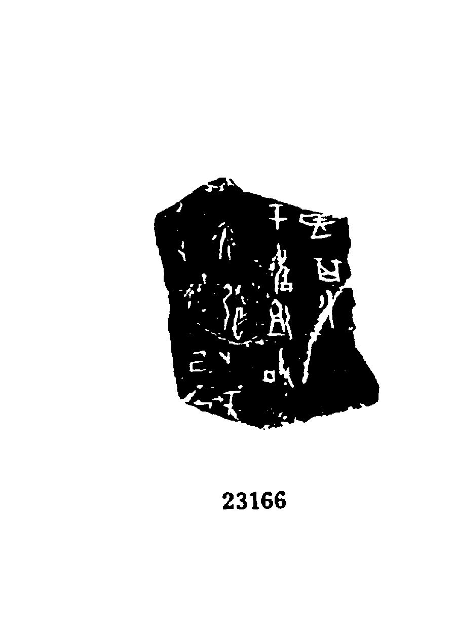 点击图片看大图