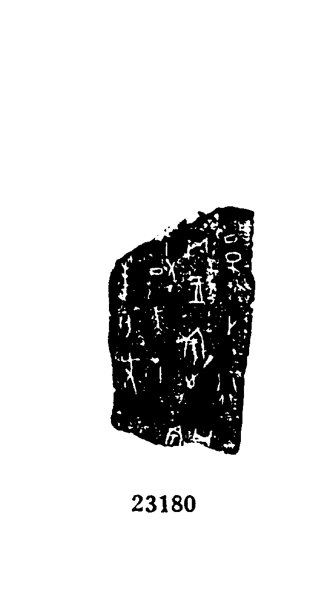 点击图片看大图