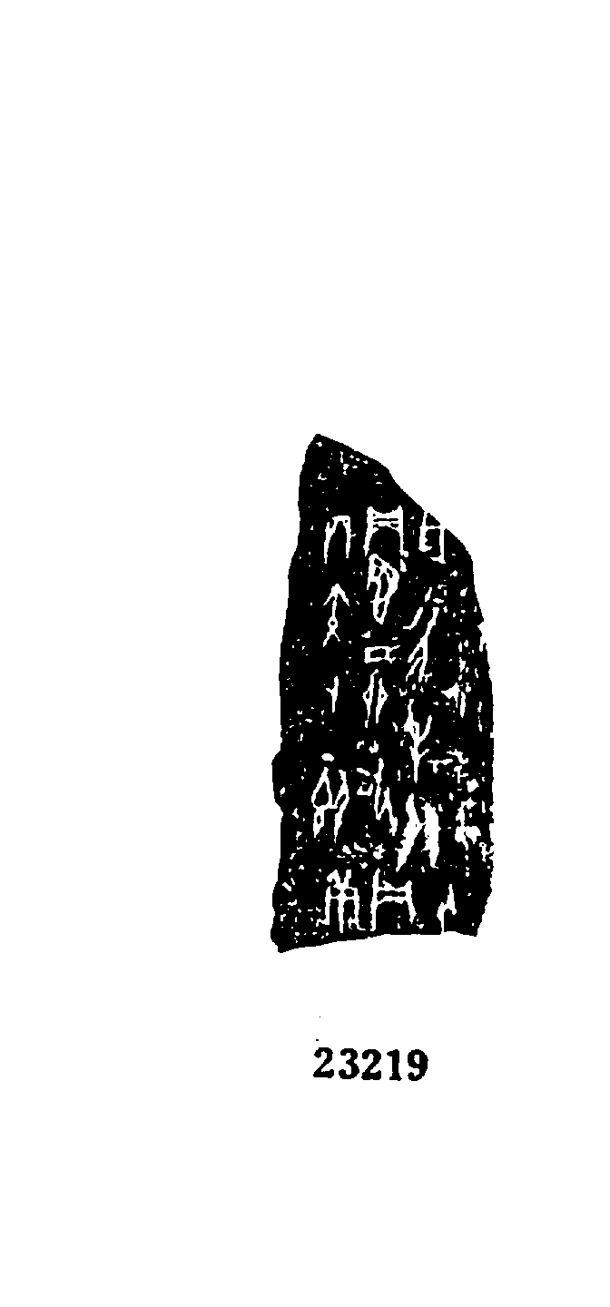点击图片看大图