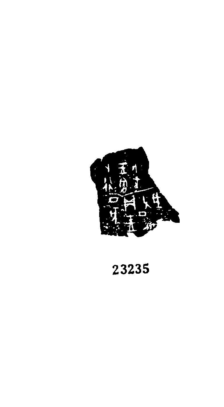 点击图片看大图