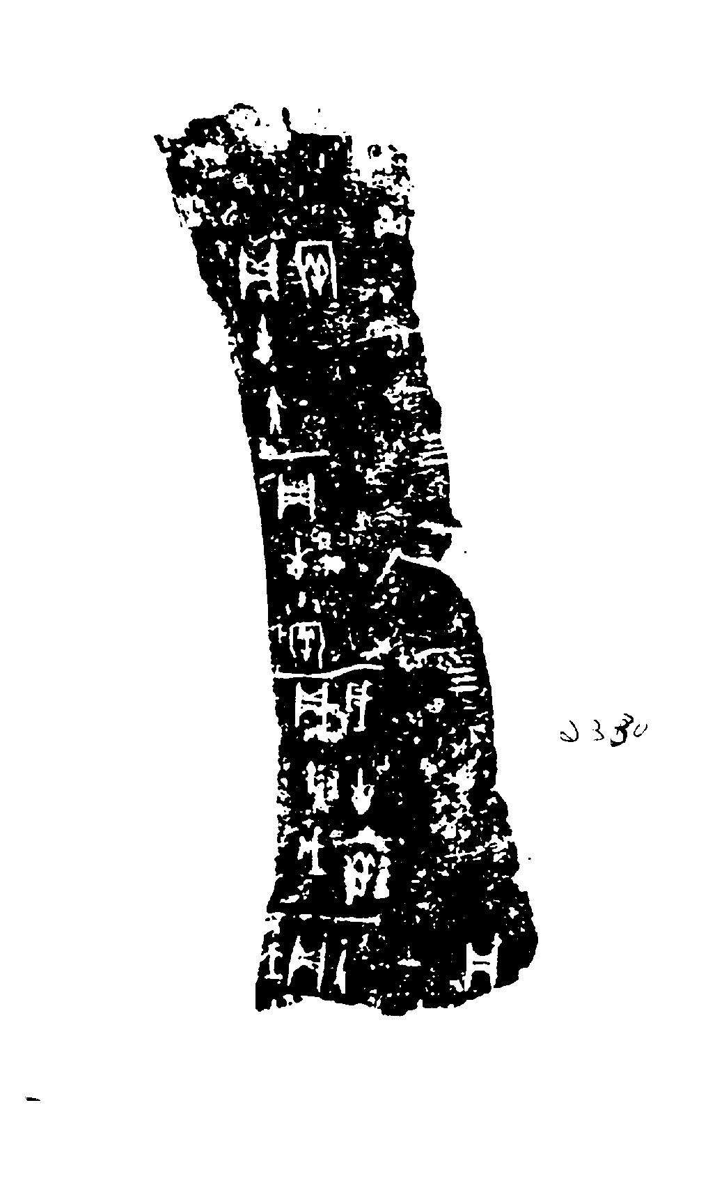 点击图片看大图