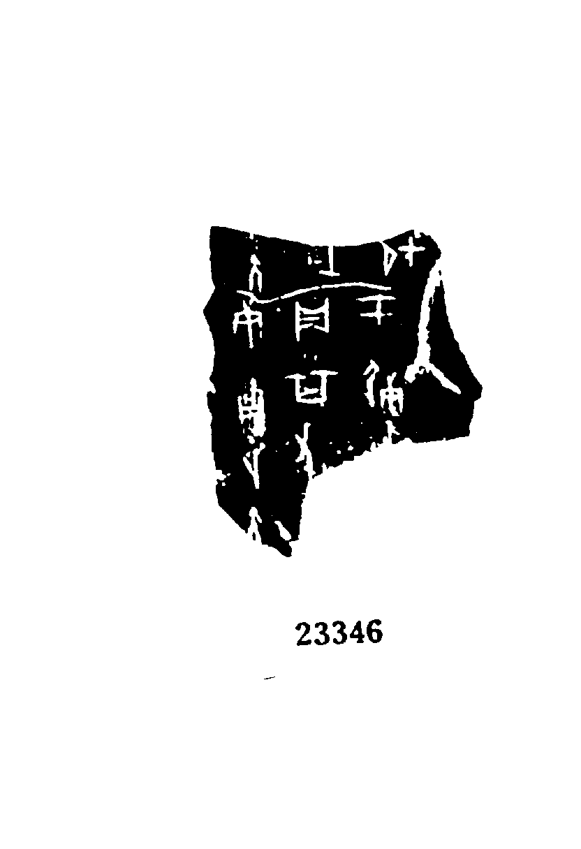 点击图片看大图