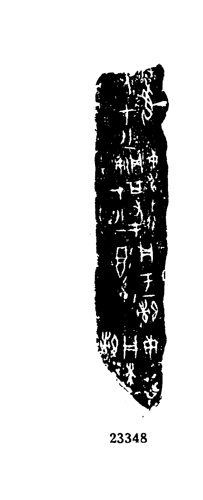 点击图片看大图