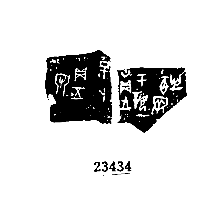 点击图片看大图