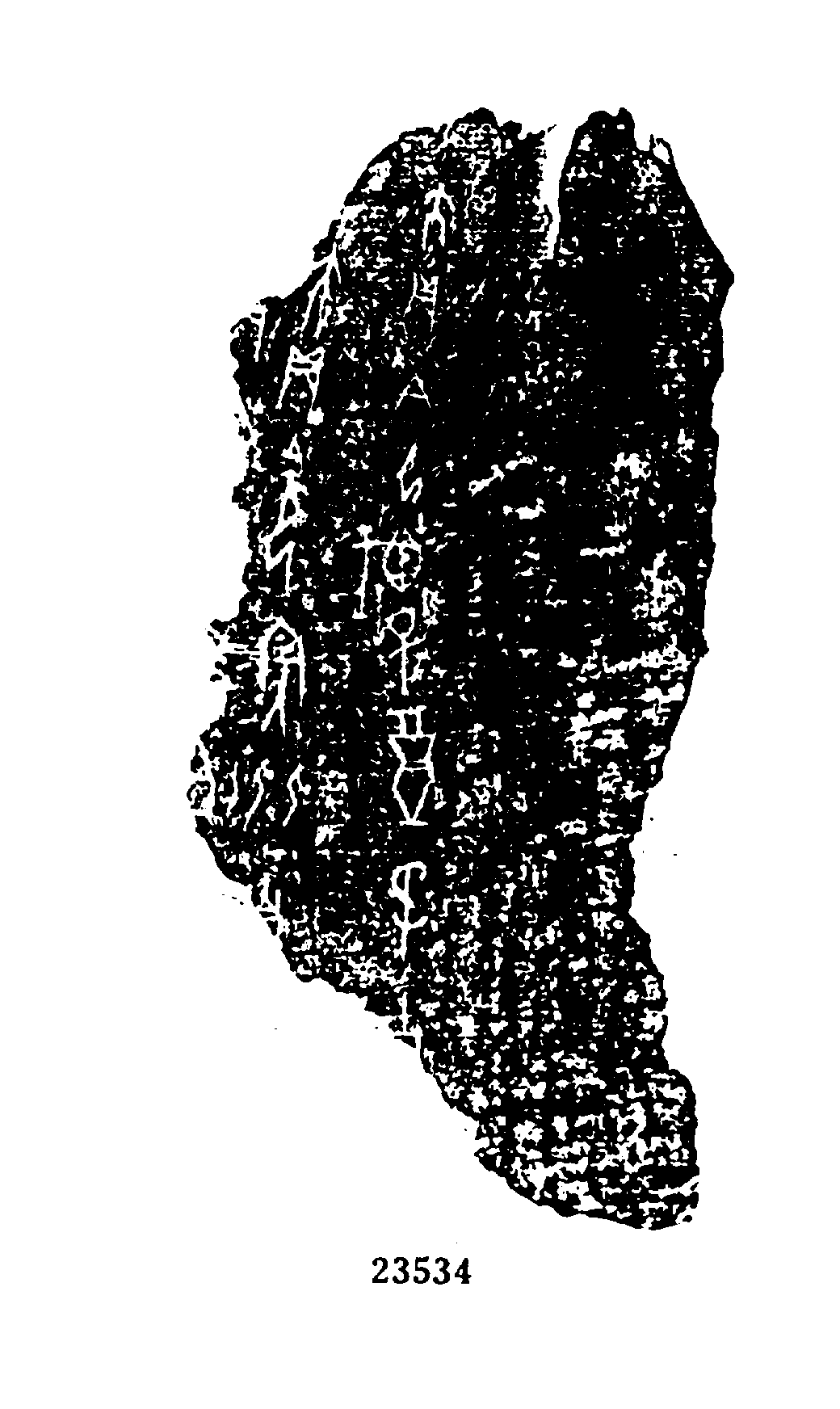 点击图片看大图