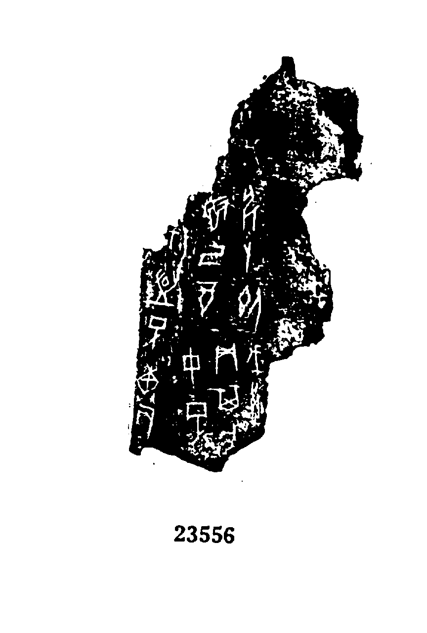 点击图片看大图