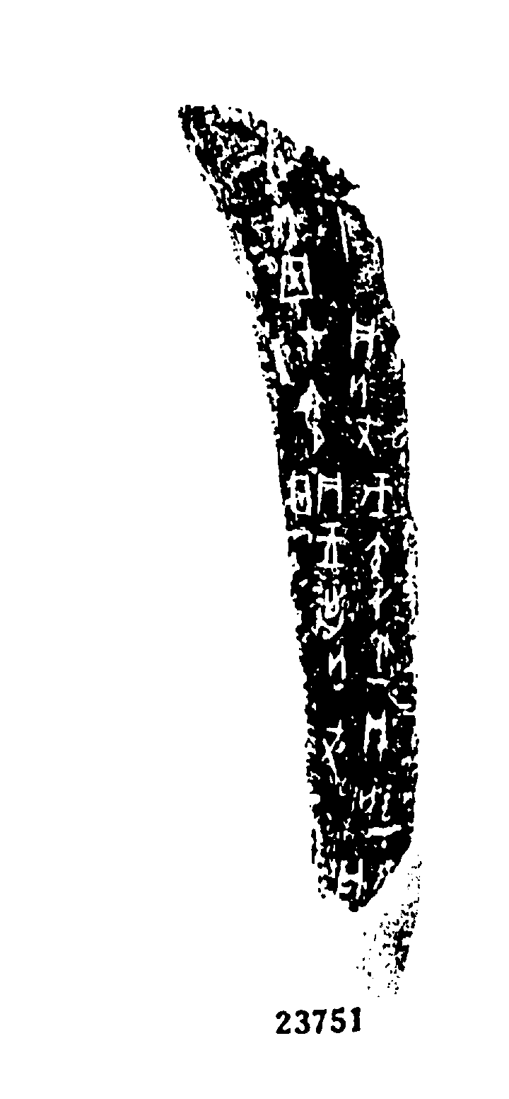 点击图片看大图