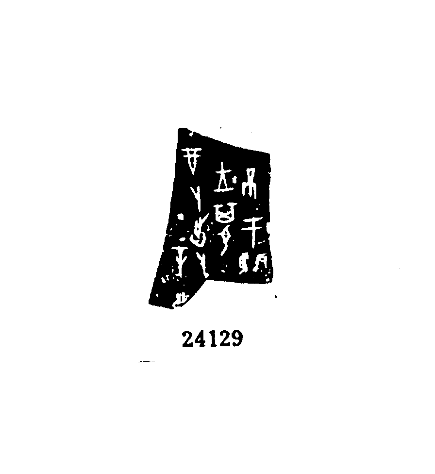 点击图片看大图