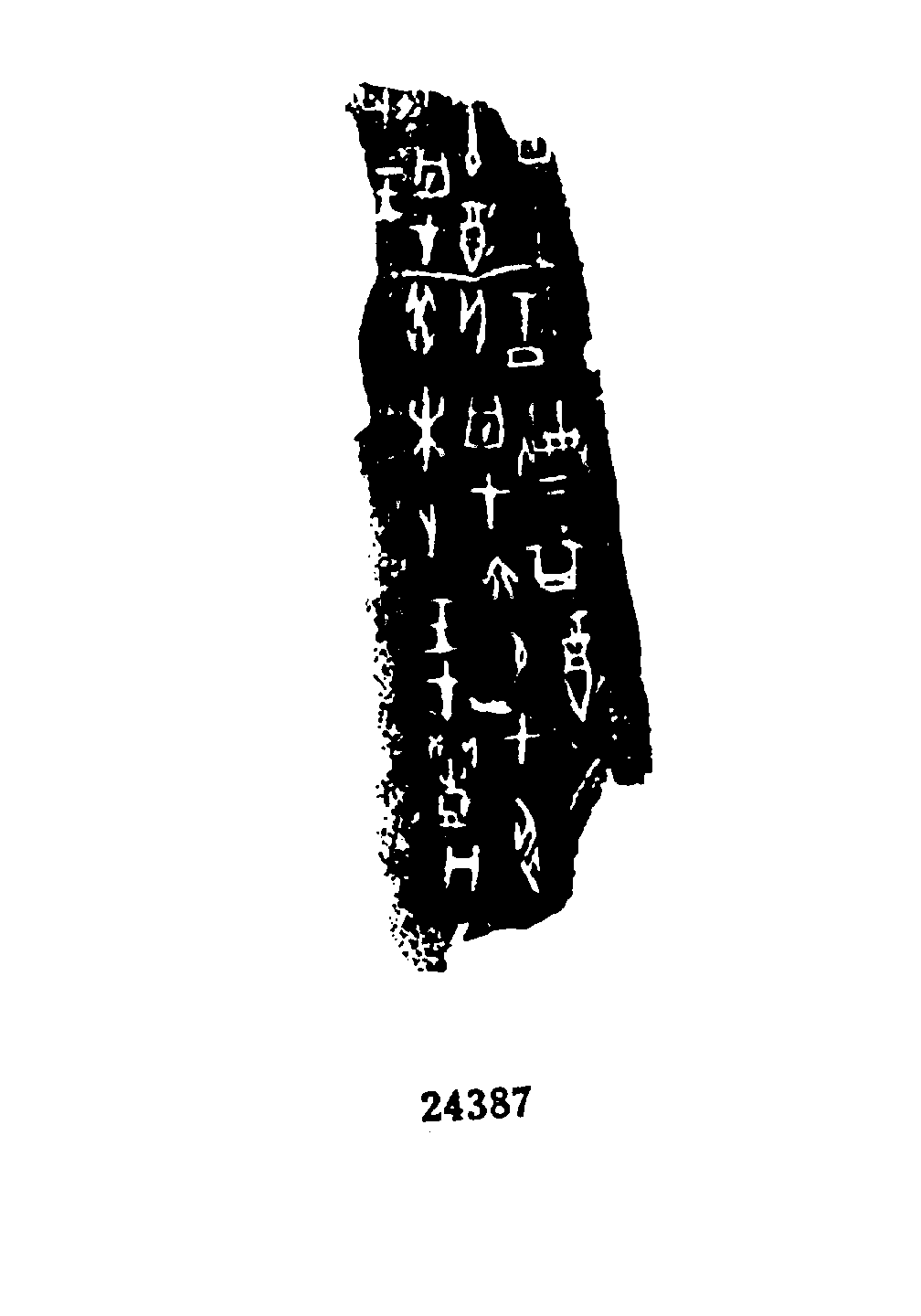 点击图片看大图