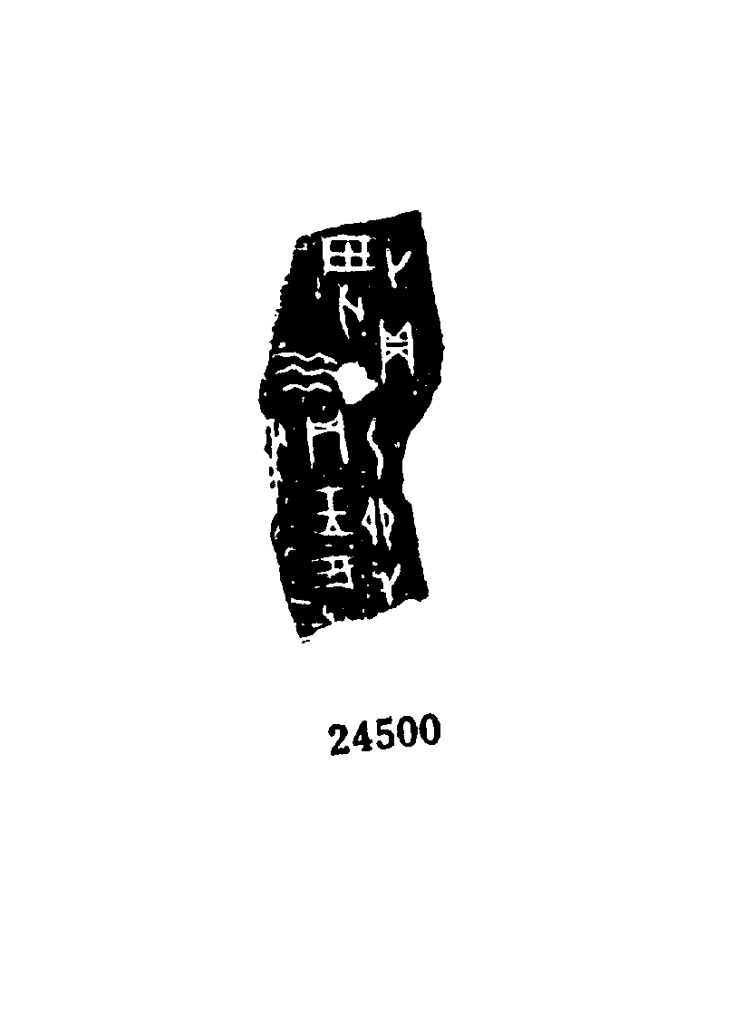 点击图片看大图