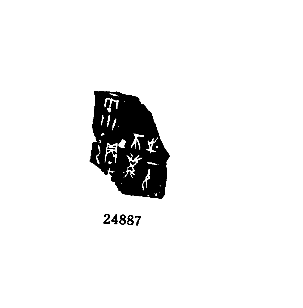 点击图片看大图