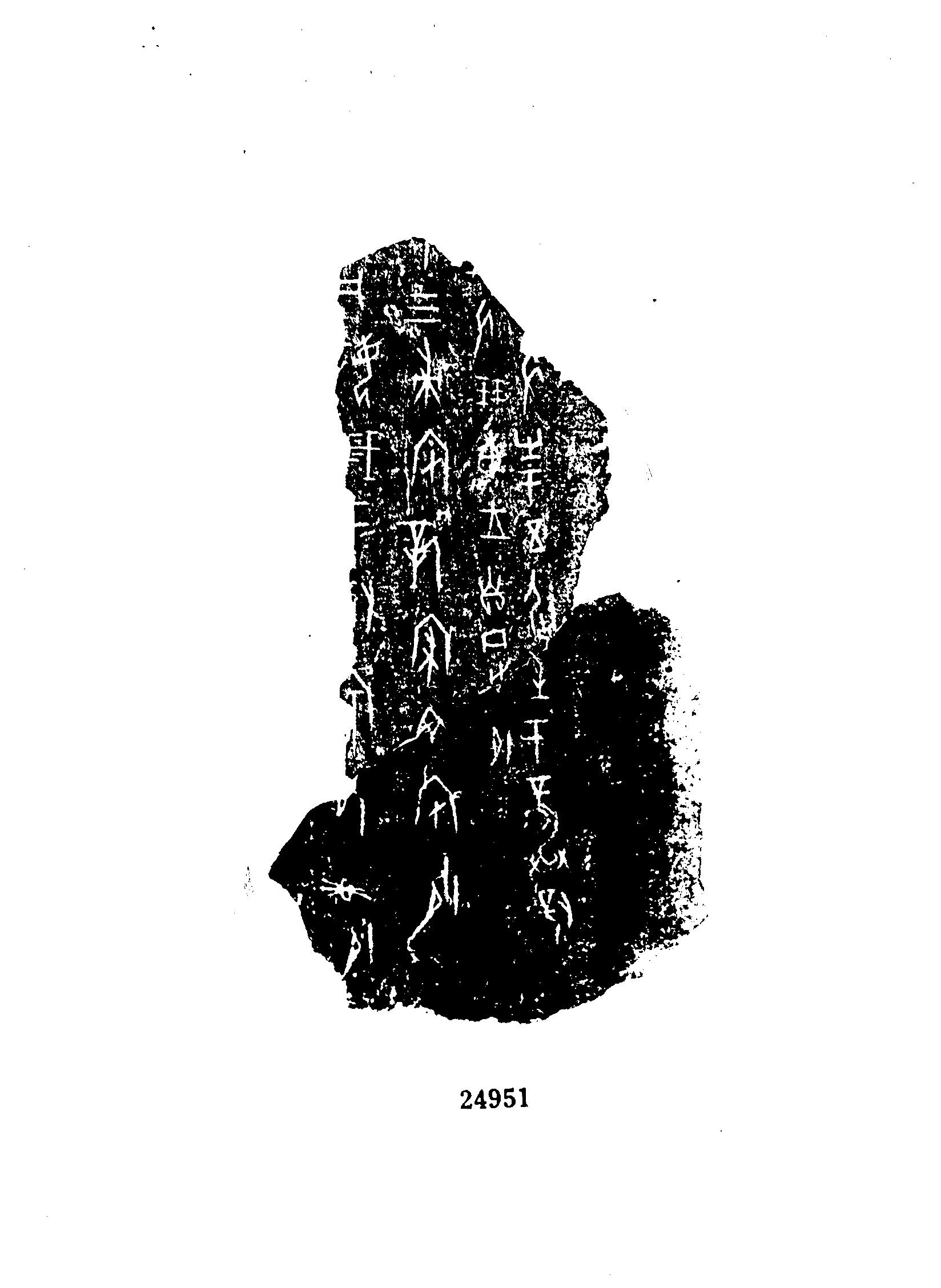 点击图片看大图