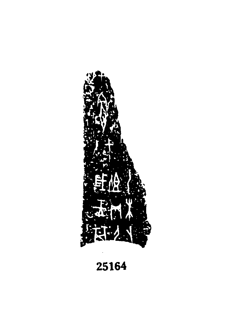 点击图片看大图